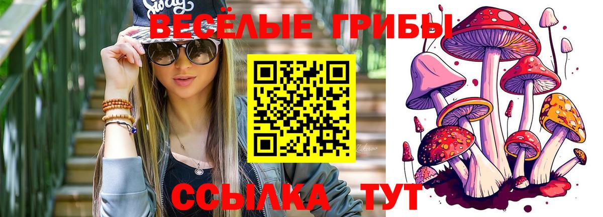 Галлюциногенные грибы ЛСД  Вход с VPN  Кстово  сколько стоит  Псилоцибиновые грибы прущие грибы 